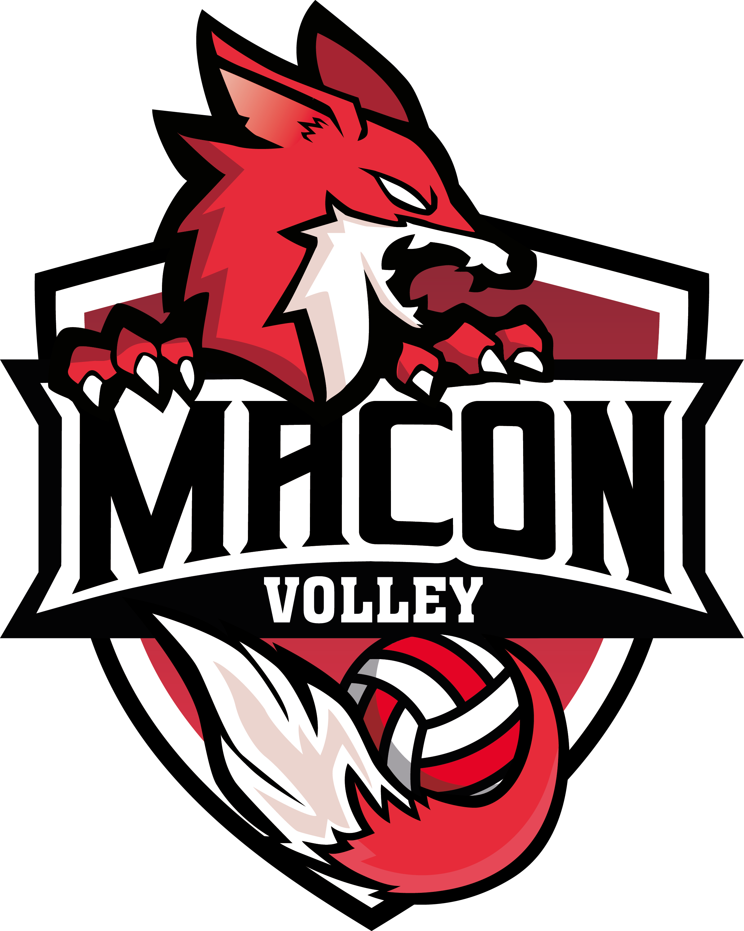 Logo de votre site